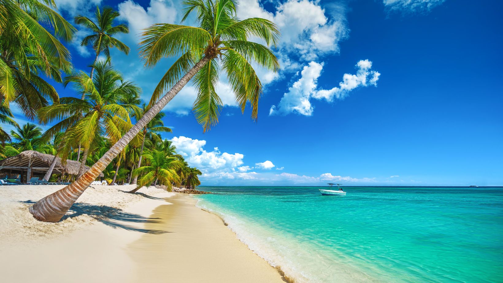 traslados en punta cana